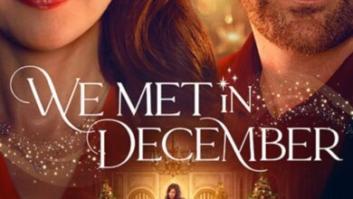 We Met in December (2025)
