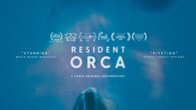 Resident Orca (2024)