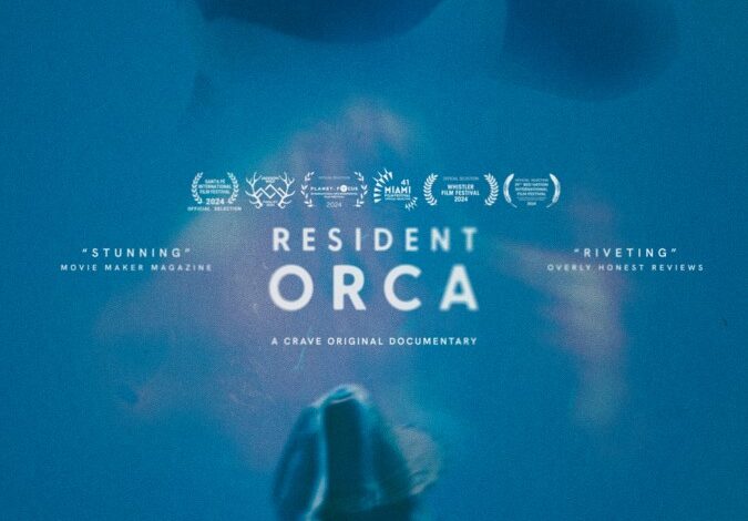 Resident Orca (2024)